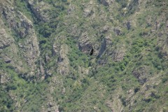 IMG_1913