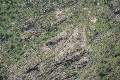 IMG_1917