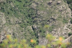 IMG_1918