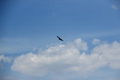 IMG_1919