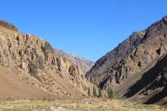 IMG_2087