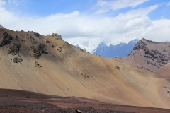 IMG_2133