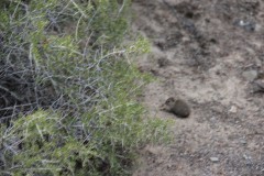 IMG_2165