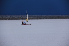IMG_2175