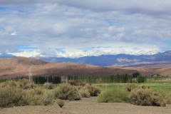 IMG_2194-Valle-de-Calingasta