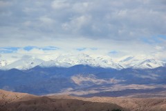IMG_2195