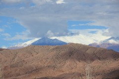 IMG_2196