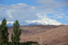 IMG_2197