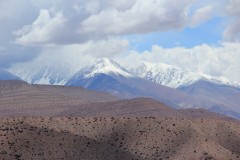 IMG_2202-Valle-de-Calingasta