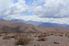IMG_2203