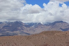 IMG_2205