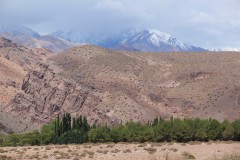 IMG_2206
