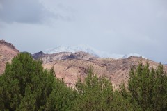 IMG_2207