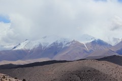 IMG_2213