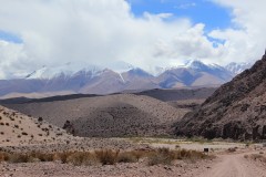 IMG_2214