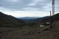 IMG_2223