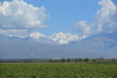 IMG_2225-Tunuyán-Bodega-Salentein