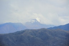 IMG_2249