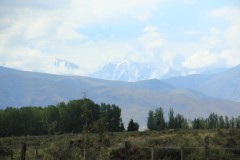 IMG_2250