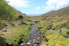 IMG_2252-RP-Laguna-Diamante