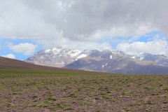 IMG_2255