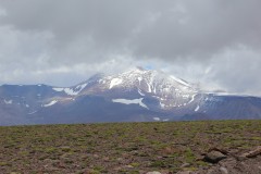 IMG_2256