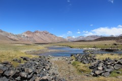 IMG_2280