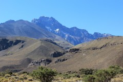IMG_2321