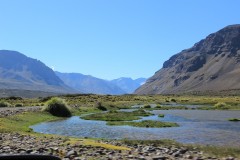 IMG_2323