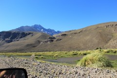IMG_2324
