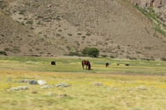 IMG_2326