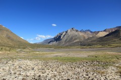 IMG_2332