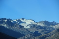 IMG_2339