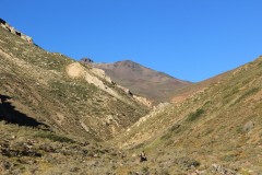 IMG_2343
