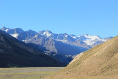 IMG_2344
