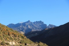 IMG_2350