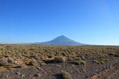 IMG_2418