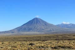 IMG_2419