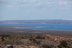 IMG_2443