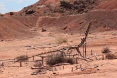 IMG_2445-Lago-Barreales-Dino-Project