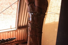 IMG_2450