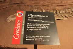 IMG_2479-Villa-El-Chocón-Museo-Municipal-Ernesto-Bachmann