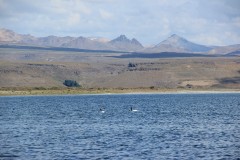 IMG_2503-Laguna-Blanca
