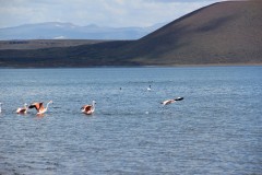 IMG_2514