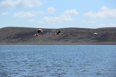 IMG_2525