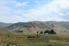 IMG_2530