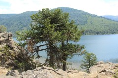 IMG_2546-Lago-Rucachoroi