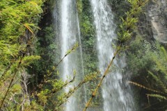 IMG_2554