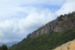 IMG_2561