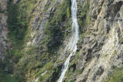 IMG_2563